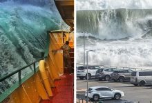 Photo of 16 Seasickness-proof Images Showing All The Devastating Power Of The Waves