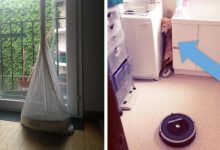Photo of 16 People Who Left The Robot Vacuum Alone And Found It In The Most Absurd Situations