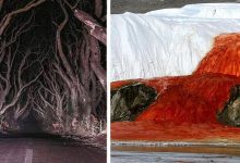 Photo of These Disturbing Photos Show That Nature Knows How To Make Us Small And Powerless