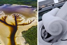 Photo of 17 Natural Shows That Have Managed To Amaze Us With Special Effects Worthy Of A Great Movie