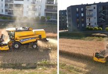 Photo of This Farmer Refuses To Sell His Fields: He Now Cultivates Them In His Corner Of Green In The Middle Of Buildings.